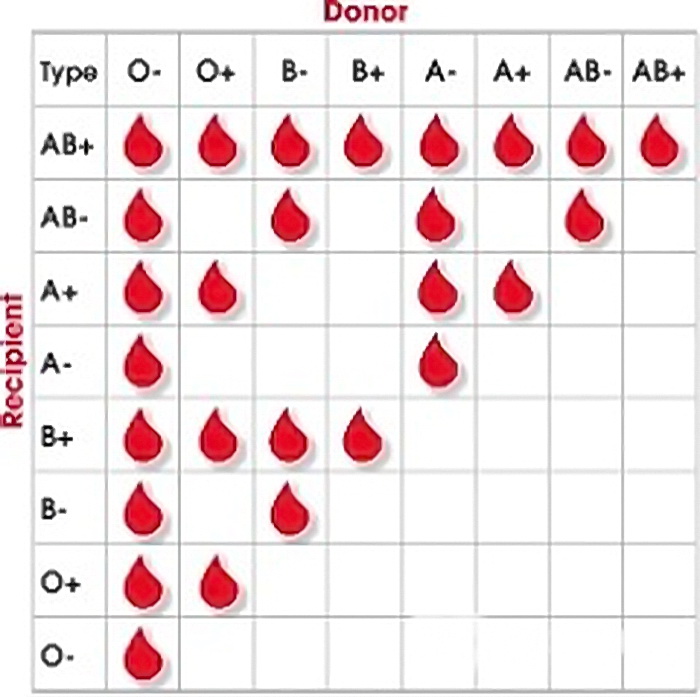 Как определить какая группа крови вам подходит.